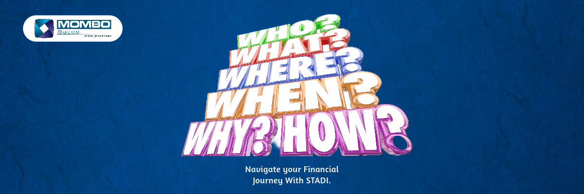 All You Need To Know About Stadi.