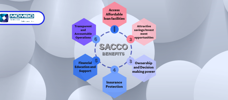 Sacco-Benefits-98-1